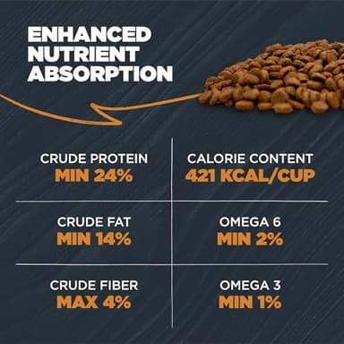 Blackwood Sensitive Skin & Stomach Dry Dog Food, Lamb Meal & Brown Rice with Ancient Grains, 10 Pound Bag with Prebiotics & Probiotics to Promote Gut Health - Image 7