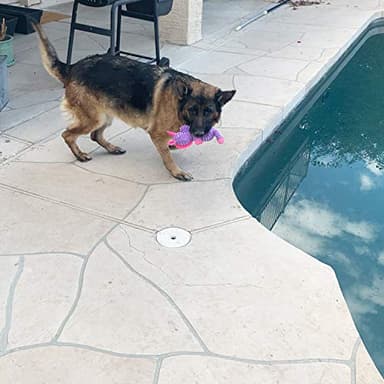 Jalousie Plush Toys Assortment Value Bundle Puppy Pet Mutt Squeak Toy for Medium Large Dogs (5 Pack Corduroy) - Image 6