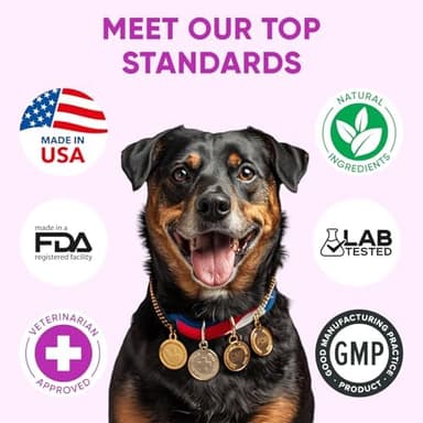 Dog Allergy Relief Chews for Itchy Skin - Seasonal and Food Allergy Chews for Shedding, Licking Paws, Hot Spot, Ears - USA Product - Omega 3 Fish Oil Skin & Coat Supplement - Anti Itch Immune Treats - Image 6