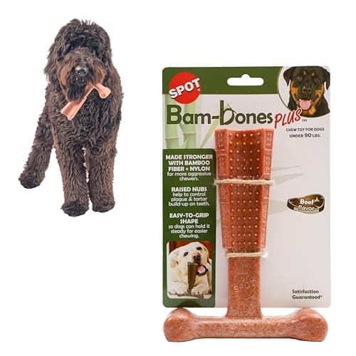 SPOT Bam-Bones Plus T Bone - Bamboo Fiber & Nylon Dog Chew Toy for Moderate to Aggressive Chewers, Non-Splintering, Long-Lasting, 7in Beef Flavor, for Adult Dogs & Teething Puppies Under 90lbs - Image 1
