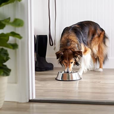 Amazon Basics Stainless Steel Dog Bowl, Single - Image 6