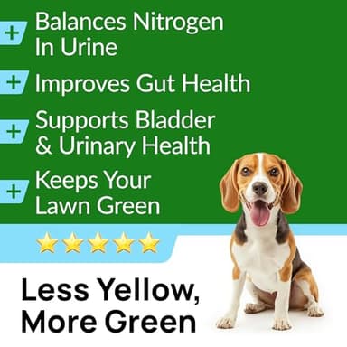 PAWFECTCHEW Green Grass Dog Chews w/Probiotics - Prevent Urine Burning Grass - Dog Pee Grass Spot Saver - Dog Urine Neutralizer for Lawn Treats, UT & Gut Health for Dogs, Lawn Burn from Dog Urine - Image 3
