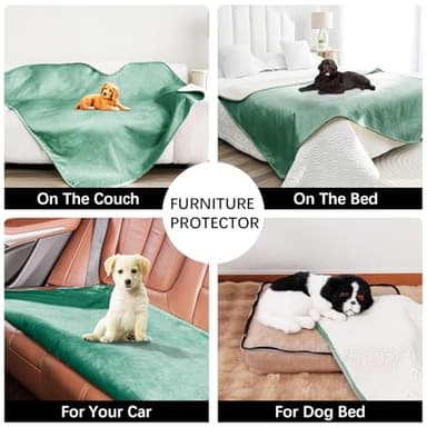 Bigbeer Waterproof Dog Blankets for Small Dogs, Washable Pet Blanket for Indoor Cats, Plush Sherpa Puppy Throw Furniture Protector for Bed Couch Sofa(25"x35",S,Green) - Image 3