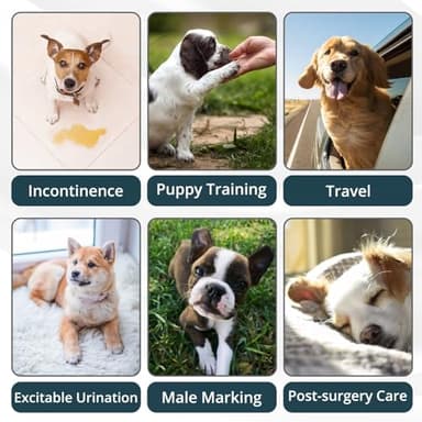 Paw Legend Washable Dogs Diapers Male Dog Belly Bands for Male Dogs Diapers Reusable Puppy & Doggie Diapers Male (3 Pack, Medium) - Image 7