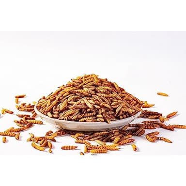 I LOVE WORMS Dried Black Soldier Fly Larvae (10lb), 100% Natural Non-GMO, Treat for Chickens, More Calcium Chicken Feed Than Mealworms - Image 3