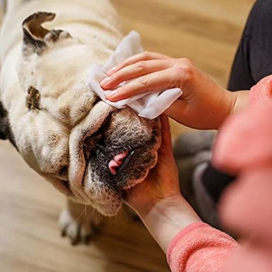 Inspire Naturals Pet Wipes for Dogs and Cats 100% Natural Plant Based with Organic Antioxidants, Dog Wipe Cleaning Deodorizing | Puppy Wipes | Dog Wipes for Paws and Butt(100ct - 2 Pack) - Image 6