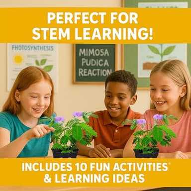 TickleMe Plant Seeds for Indoor Planting (2-Pack) – Interactive Party Favor | Leaves Close When Touched, Reopen in Minutes – Easy Indoor House Plant Seeds, Can Flower, Includes 10 Fun Activities - Image 3