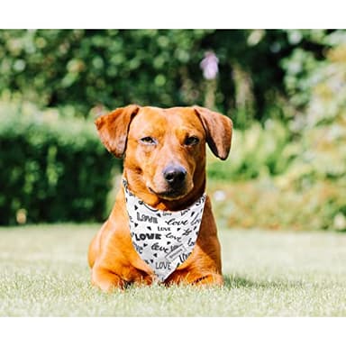 Realeaf Wedding Dog Bandanas 2 Pack, Reversible Love Pet Scarf for Boy and Girl, Premium Durable Fabric, Black and White Bandana for Small Medium Large and Extra Large Dogs (Small) - Image 6