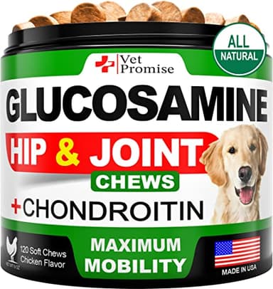 Vet Promise Glucosamine for Dogs - Hip and Joint Supplement for Dogs - Glucosamine Chondroitin - Joint Pain Relief Pills - MSM - Advanced Health Support Supplement - 120 Mobility Chews - Made in USA - Image 1