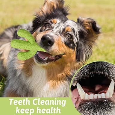 MewaJump Dog Chew Toys for Aggressive Chewers, Durable Rubber Cactus Tough Toys for Training and Cleaning Teeth, Interactive Dog Toys for Small/Medium Dog - Image 7