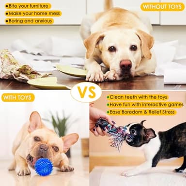 Aipper Dog Toys 25 Pack for Fun and Teeth Cleaning, Puppy Chew Toys Pack with Squeak Plush Toy,Squeaky Toy Balls,Tug of War and Rope Toys for Puppy to Small Dogs - Image 6