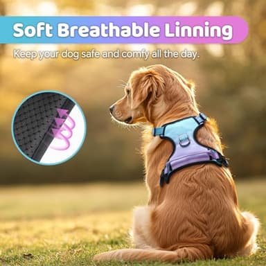 QQPETS No Pull Dog Harness with 2 Leash Clips,Adjustable Soft Padded Dog Vest, Reflective Outdoor Pet Oxford Vest with Easy Control Handle for Small to Large Dogs Walking Training - Image 2