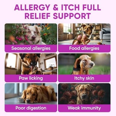 Dog Allergy Relief Chews for Itchy Skin - Seasonal and Food Allergy Chews for Shedding, Licking Paws, Hot Spot, Ears - USA Product - Omega 3 Fish Oil Skin & Coat Supplement - Anti Itch Immune Treats - Image 3