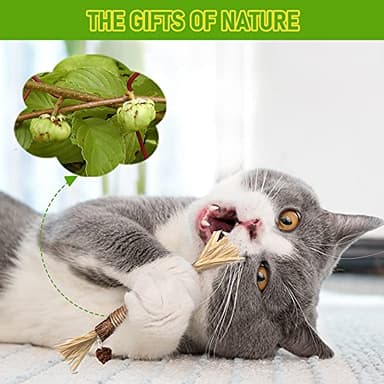 BAWAN Catnip Toys‖ Silvervine for Cats: Cute Cat & Kitten Toys for Indoor Cats Interactive‖ Cat & Kitten Teething Chew Toys for Aggressive Chewers‖ Silvervine Sticks Ca.t Dental Toy (3PCS) - Image 4
