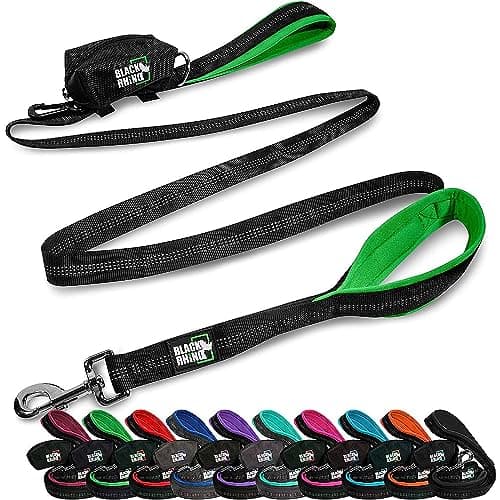 Black Rhino 6 ft Long Heavy Duty Dog Leash with Traffic Handle for Medium and Large Dogs - Padded Neoprene Dual Handles, Bag and Clip - Reflective, Durable, and Weather Resistant - Green - Image 1