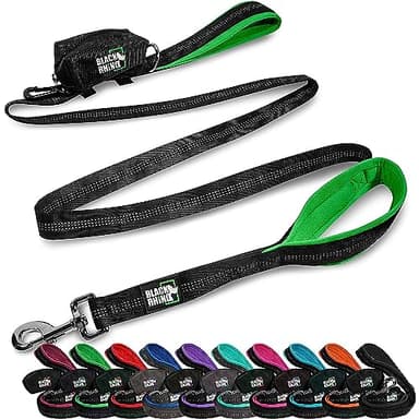 Black Rhino 6 ft Long Heavy Duty Dog Leash with Traffic Handle for Medium and Large Dogs - Padded Neoprene Dual Handles, Bag and Clip - Reflective, Durable, and Weather Resistant - Green - Image 1