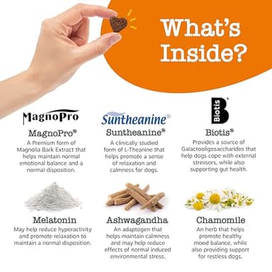 Zesty Paws Vet Strength Calming Chews for Dogs - for Everyday Stress, Relaxation, Composure, and Separation Smoked Turkey 90 Count - Image 3