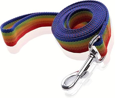 Nylon Dog Leash 4 Ft 5 Feet 6 Foot Long, Walking Training Dog Leashes for Medium Large Dogs, 1 Inch Wide (1" X 5 ft, Rainbow) - Image 1