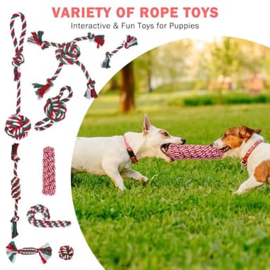 SCENEREAL 15 Pack Dog Toys for Small Dogs Puppies, Christmas Small Dog Toys for Teething and Chewing, Interactive Dog Chew Toys Rope Toy to Keep Them Busy, Holiday Xmas Gift - Image 6