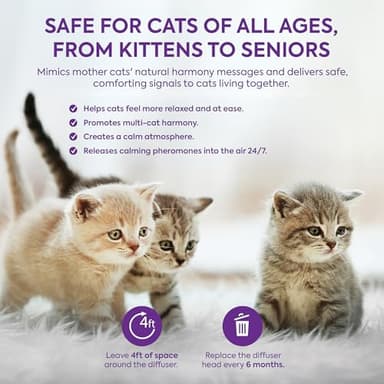 TopSum Cat Calming Diffuser Refills: Pheromone Refill for Cats, Long-Lasting 6-Month Supply, Compatible with Most Diffusers, 6 Pack (Purple) - Image 6