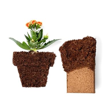 Coco Coir 650gm Bricks (5-Pack) - Organic Coco Coir for Plants & Gardening - OMRI-Listed Cocopeat for Garden Soil, Seed Starter Soil, & Mulch - Organic Coconut Bricks - Coconut Fiber Potting Mix - Image 7