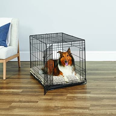 New World Single Door Folding Metal 36-Inch Dog Crate, Enhanced Security, Includes Leak-Proof Pan & Divider Panel, For Medium to Large Sized Breeds - Image 2