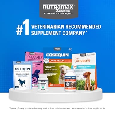 Nutramax Cosequin for Dogs Joint Health Supplement, Contains Glucosamine for Dogs, Plus Chondroitin and MSM, Supports Healthy Joints, For All Breeds and Sizes, Chewable Tablets, 132 Count - Image 9