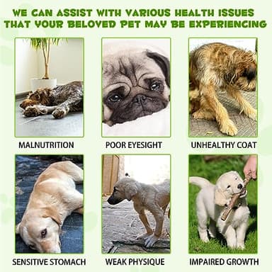 Liquid Dog Probiotic,Natural 3 in 1 Probiotic for Dogs, Dog Digestive Support,Gut Health Support,Help with Diarrhea,Gas and Bloating,Dog Herbal Supplements- 60ml - Image 7