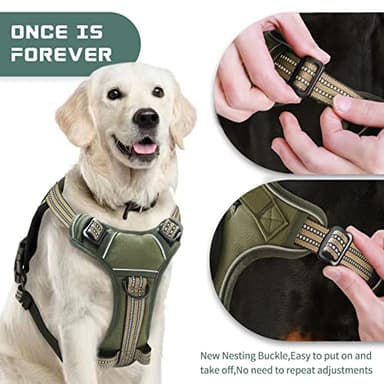 No Pull Dog Harness for Small Dogs, Adjustable No Choke Pet Vest with Dog Leash Fit Smart Reflective Pet Walking Harness for Training Easy Control Soft Handle Green S - Image 4