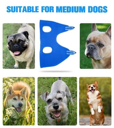 Kkiimatt 10 in 1 Pet Grooming Hammock Harness with Nail Clippers/Trimmer, Nail File, Dog Hammock/Grooming Sling for Nail Trimming/Clipping - Image 3