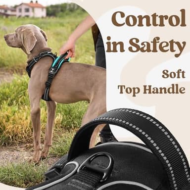 rabbitgoo Dog Harness Medium Sized, No Pull Pet Harness with 3 Buckles, Adjustable Soft Padded Vest with Control Handle, Walking Reflective Pet Vest for Medium Dogs, Black, M - Image 5
