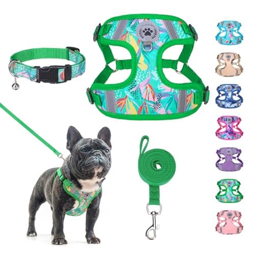 BEAUTYZOO Step in Dog Harness Collar and Leash Set for Small Medium Large Dogs, No Pull No Choke Puppy Harness, Soft Mesh Reflective Pet Padded Vest Adjustable for Doggie Girl or Boy,French Bulldog - Image 1