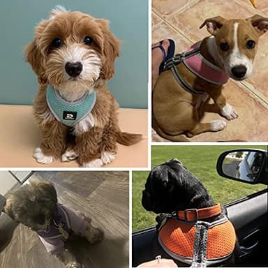 Puppy Harness and Leash Set - Dog Vest Harness for Small Dogs Medium Dogs- Adjustable Reflective Step in Harness for Dogs, Cats - Soft Mesh Comfort Fit No Pull No Choke (S, Grey) - Image 6