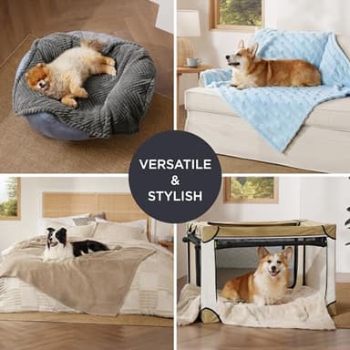 Bedsure Dog Blanket for Medium Dogs Washable - Fluffy Fuzzy Puppy Cat Blanket with Premium 300GSM Coral Fleece Soft for Pet Kitten Doggy, Blue, 30x40IN - Image 4