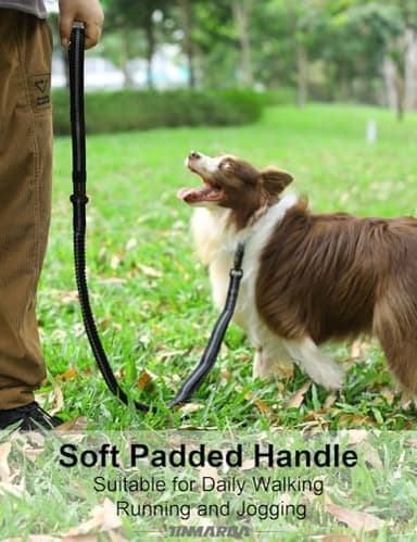 Heavy Duty Dog Leash, 4-6FT Shock Absorbing Dog Leashes with Traffic Handle and Comfortable Padded Handles, Advanced Easy Metal Clip, No Pull Reflective Leash for Medium Large Dogs That Pull (Black) - Image 5