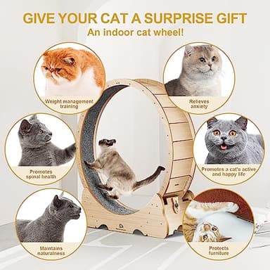 Cat Wheel, 43" L Large Cats Exercise Running Wheel, Cat Treadmill for Indoor Cats - Image 2