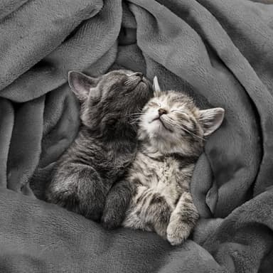 Utopia Bedding Fleece Blanket Queen Size Grey 300GSM Luxury Anti-Static Fuzzy Soft Microfiber Bed Blanket (90x90 Inch) - Image 4