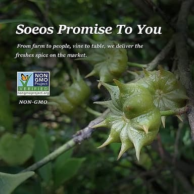 Soeos Star Anise Seeds 6oz (170g), Non-GMO Verified, Great for Baking and Tea, Anis Estrella, Whole Chinese Star Anise Pods, Dried Anise Star Spice - Image 5