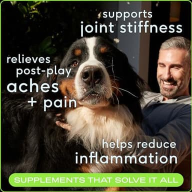 Native Pet Pain Relief for Dogs - Collagen for Dogs Promotes Joint Health, Reduce Inflammation & Stiffness - Senior Pup Joint Supplement - Natural Pain Reliever for Active & Aging Pets - 120 Chews - Image 2