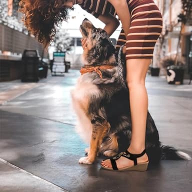 SHIBEVER Black Wedge Sandals for Women Dressy Summer Comfortable Rhinestone Sandals Open Toe Ankle Strap Dress Shoes Low Heel Size 9 - Image 2