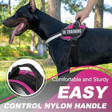 JUSTYEZI Essential Dog Harness with 3 Leash Clips - No-Pull, Adjustable, Comfortable Pet Vest Harness for Small to Large Dogs - Easy On, No Choke, Reflective, Padded Harness for Walking and Training - Image 6