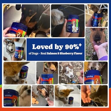 YoYoBay Flea and Tick Prevention for Dogs Chewable - 180 Soft Chews, Salmon & Blueberry Flavor - Dog Flea and Tick Treatment Chewable, Natural Defense- Dog Immune Support Supplement - Image 2