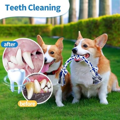 WDZZHOT [2 Pack] Dog Rope Toys, Dog Chew Toy for Medium and Small Dogs, 3 Knots Heavy Duty Puppy Rope Toy, 100% Cotton Tug of War Dog Toys for Boredom, Teeth Cleaning - Image 4