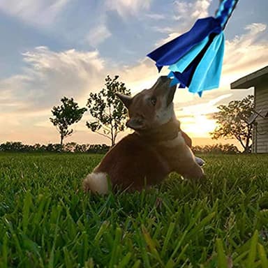 AMYESE Interactive Dog Toys - Extendable Flirt Pole with 2pcs Fleece Lure Tugs for Dog Outdoor Entertainment, Train and Exercise, New Blue - Image 5