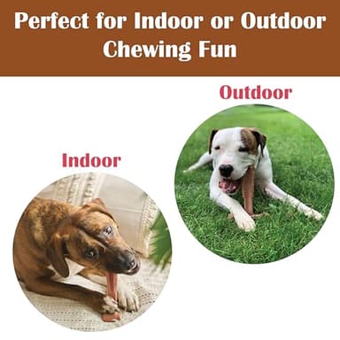 SPOT Bam-Bones Plus T Bone - Bamboo Fiber & Nylon Dog Chew Toy for Moderate to Aggressive Chewers, Non-Splintering, Long-Lasting, 7in Beef Flavor, for Adult Dogs & Teething Puppies Under 90lbs - Image 8