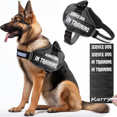 Bcadem Service Dog Vest,8 Dog Patches No-Pull Service Dog Harness with Handle,Personalized Reflective Dog Vests with 1 Pen Custom Name,Phone Number,Pattern,Easy Control for Small Medium Large Pets - Image 1