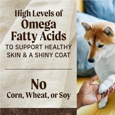 Merrick Premium Grain Free Dry Adult Dog Food, Wholesome And Natural Kibble With Real Salmon And Sweet Potato - 22.0 lb. Bag - Image 11