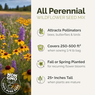 Eden Brothers All Perennial Wildflower Mixed Seeds for Planting, 1/4 lb, 120,000+ Seeds with Lupine, Shasta Daisy | Attracts Pollinators, Plant in Spring or Fall, Zones 3, 4, 5, 6, 7, 8, 9, 10 - Image 2