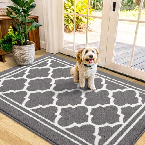 Buganda Indoor Door Mat, Dirt-Resistant and Absorbent Doormat, Anti-Slip, Low Profile Floor Mats for Inside Entryway, Front, and Back Door Entrance (48x32 Inches, Grey) - Image 1