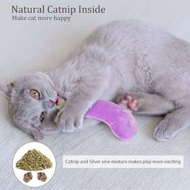 ETEKYER Catnip Cat Toys, Cat Nip Kitten Toy for Indoor Cats Kitty Kicker, Durable Kitten Teething Chew Toy, 5 Pack, Vegetable Shape - Image 2